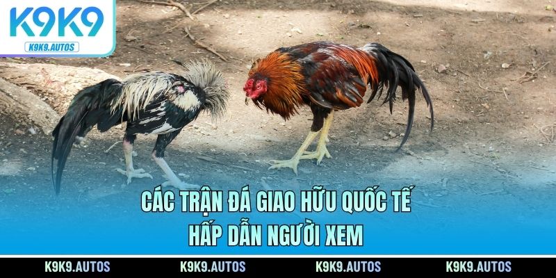 Các trận đá giao hữu quốc tế hấp dẫn người xem