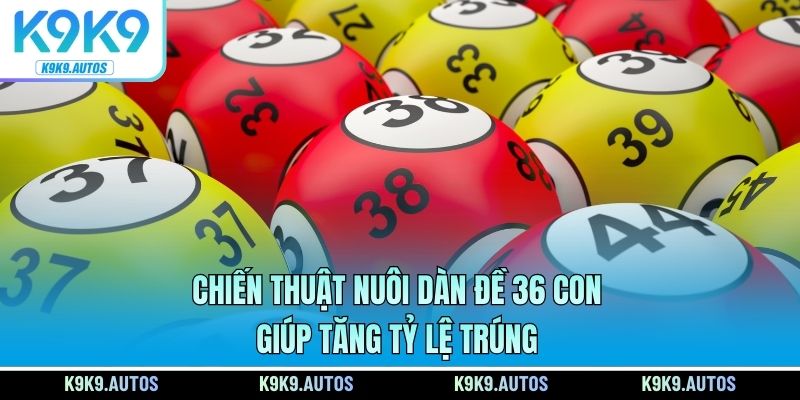 Chiến thuật nuôi dàn đề 36 con giúp tăng tỷ lệ trúng