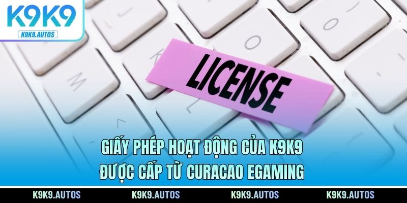 Giấy phép hoạt động của K9K9 được cấp từ Curacao eGaming