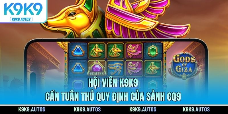 Hội viên K9K9 cần tuân thủ quy định của sảnh CQ9