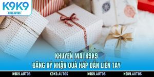Khuyến Mãi K9K9 - Đăng Ký Nhận Quà Hấp Dẫn Liền Tay