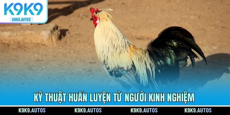 Kỹ thuật huấn luyện từ người kinh nghiệm