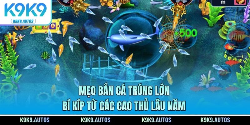 Mẹo Bắn Cá Trúng Lớn - Bí Kíp Từ Các Cao Thủ Lâu Năm