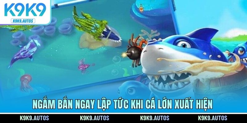 Ngắm bắn ngay lập tức khi cá lớn xuất hiện
