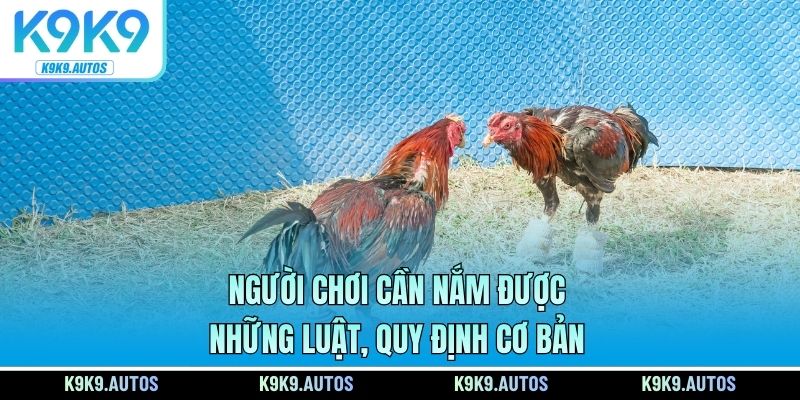 Người chơi cần nắm được những luật, quy định cơ bản