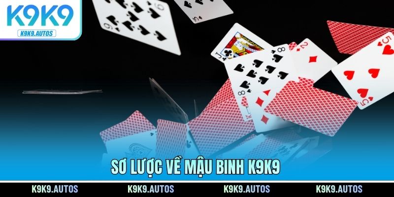 Sơ lược về Mậu Binh K9K9