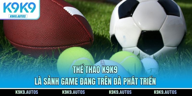 Thể thao K9K9 là sảnh game đang trên đà phát triển