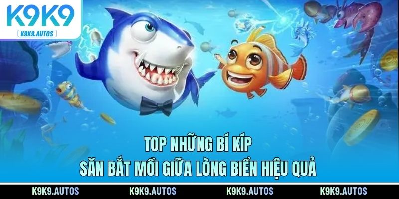 top nhung bi kip san bat moi trai nghiem hieu qua