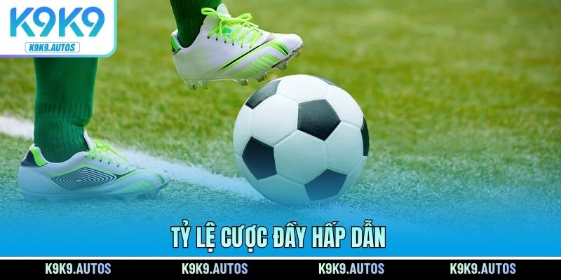 Tỷ lệ cược đầy hấp dẫn